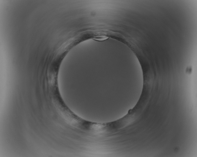 X0000112530139200909141256