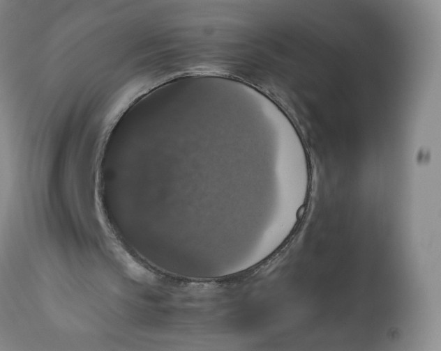 X0000112530145200909141255