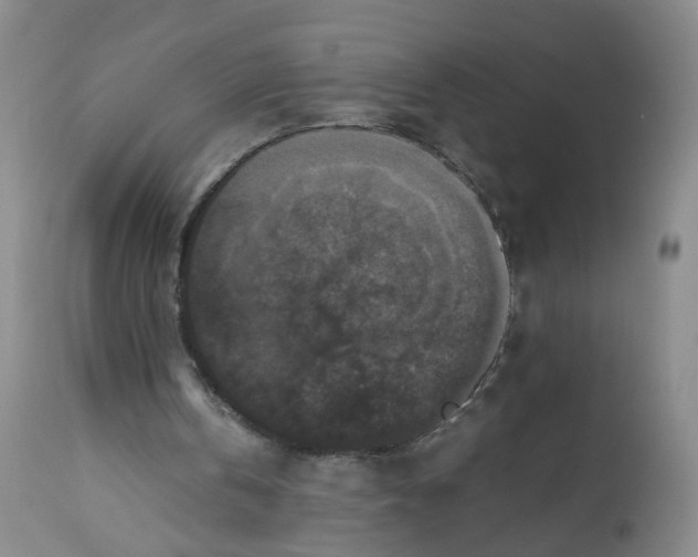 X0000112530146200909141255