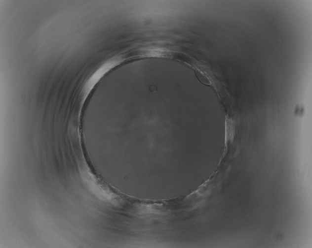 X0000112530147200909141255