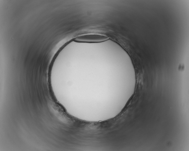 X0000112530148200909141255