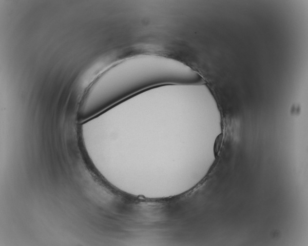 X0000112530150200909141255