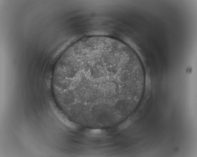 X0000112530153200909141255