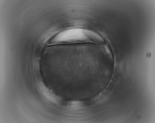 X0000112530154200909141256