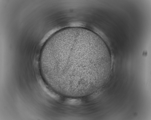 X0000112530155200909141256