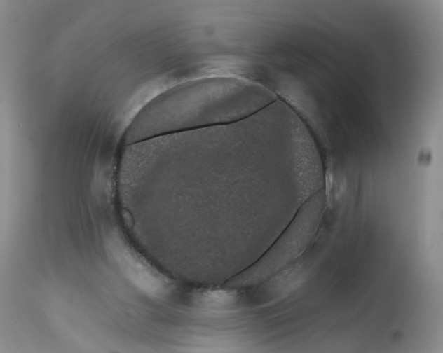 X0000112530156200909141256