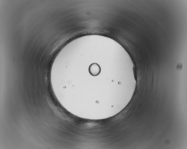 X0000112530158200909141256