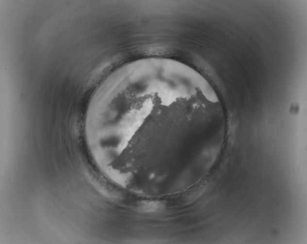 X0000112530161200909141256