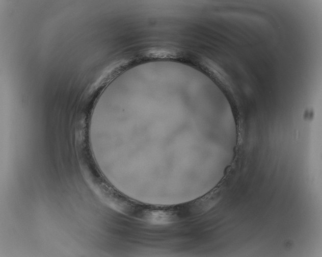 X0000112530163200909141256