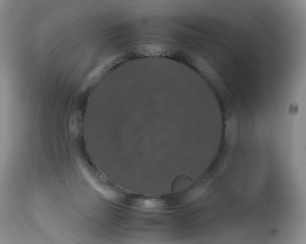 X0000112530165200909141256