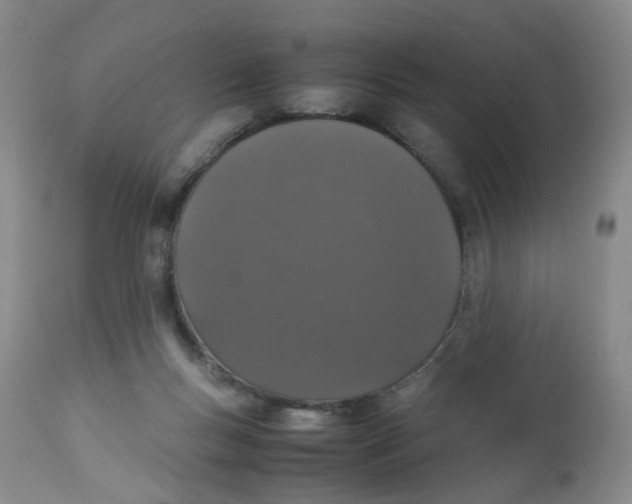 X0000112530167200909141256