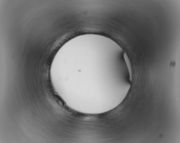 X0000112530168200909141256