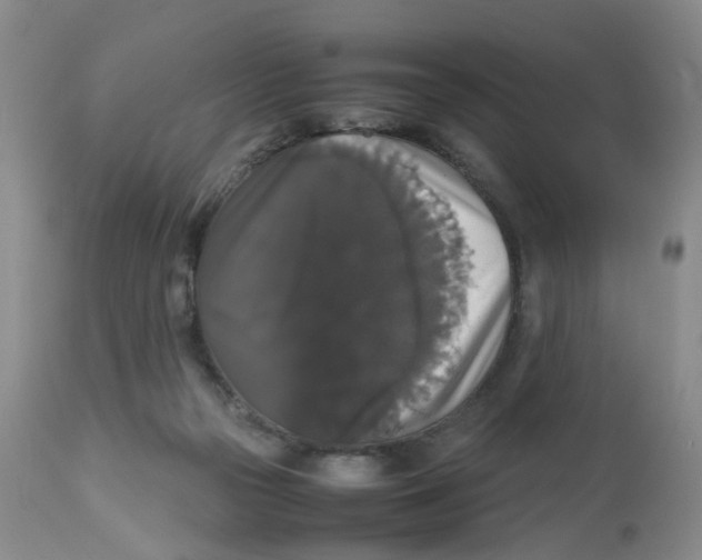 X0000112530169200909141256