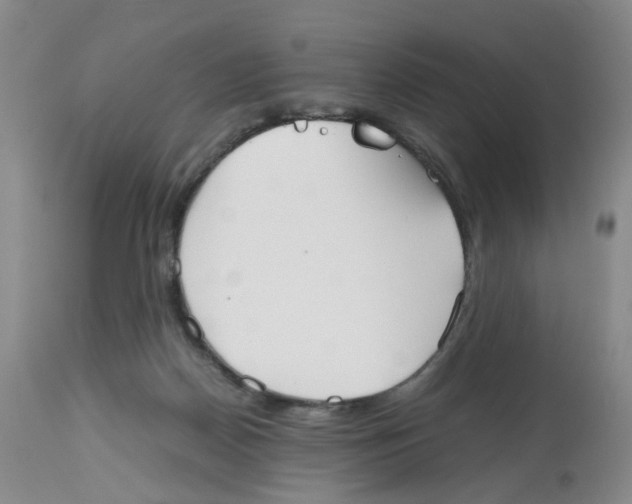 X0000112530170200909141256