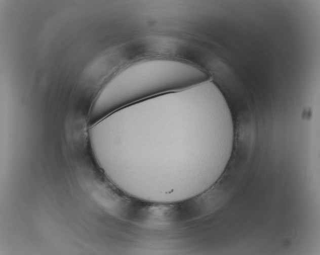 X0000112530172200909141256