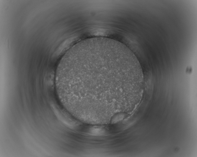 X0000112530175200909141256