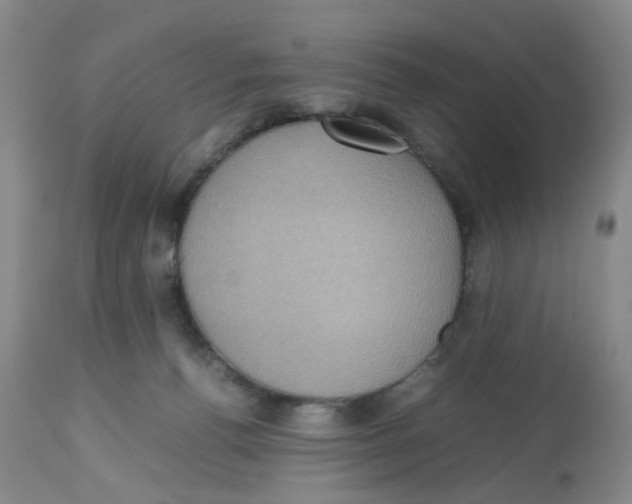 X0000112530176200909141256