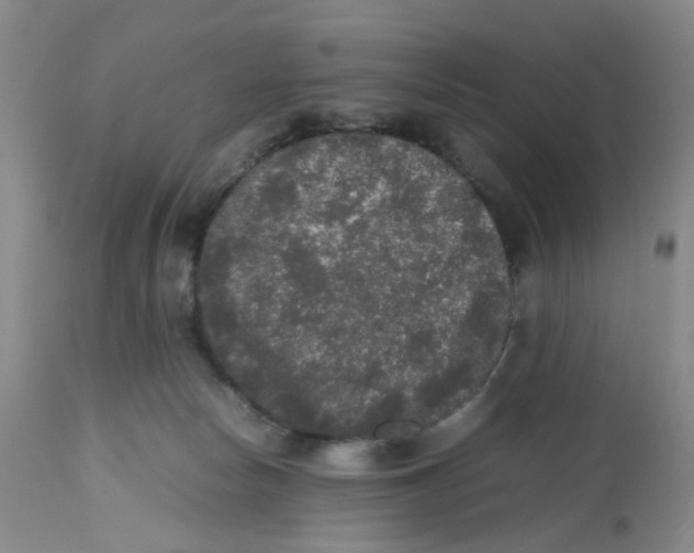 X0000112530178200909141256