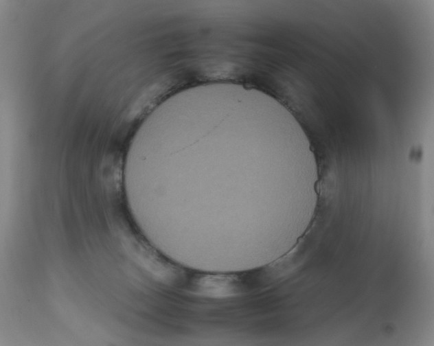 X0000112530179200909141256