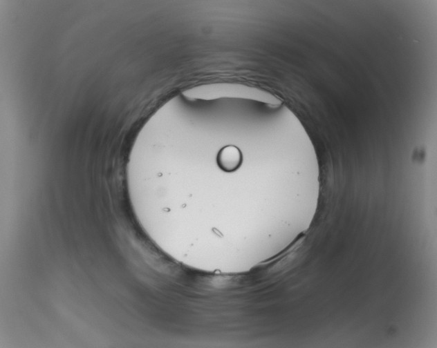 X0000112530184200909141256