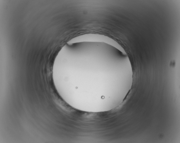 X0000112530186200909141256