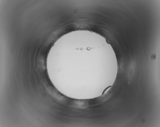 X0000112530187200909141256