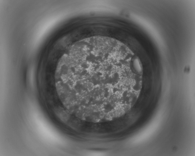 X0000112530189200909141256