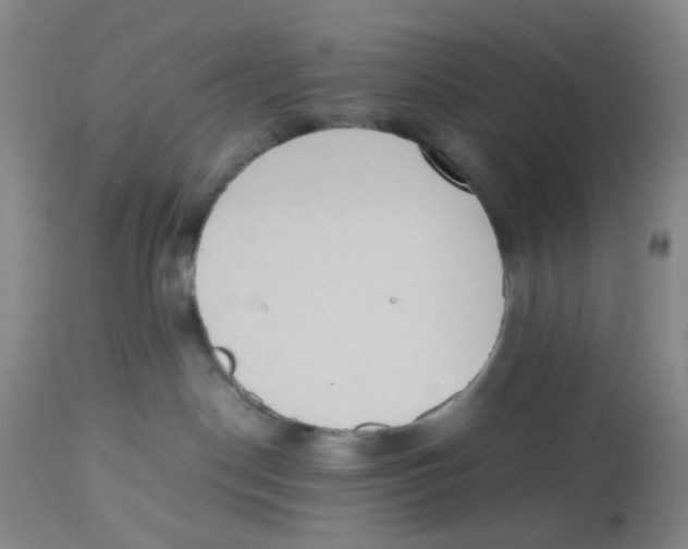 X0000112530190200909141256