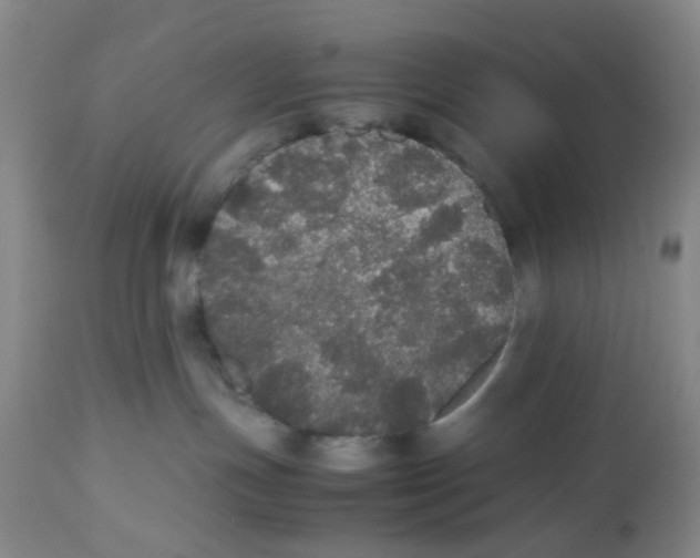 X0000112530191200909141256