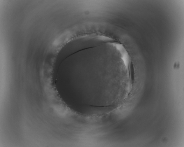 X0000112530192200909141256