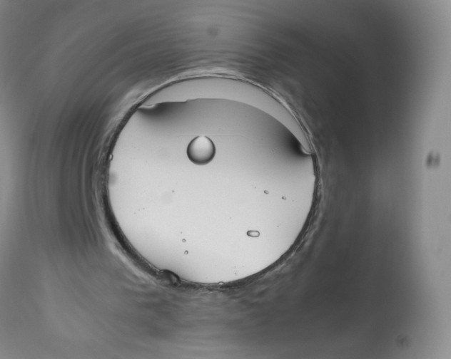 X0000112530193200909141255