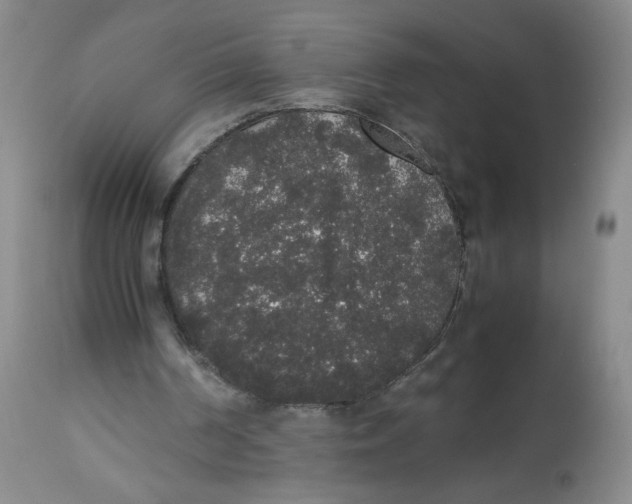 X0000112530194200909141255