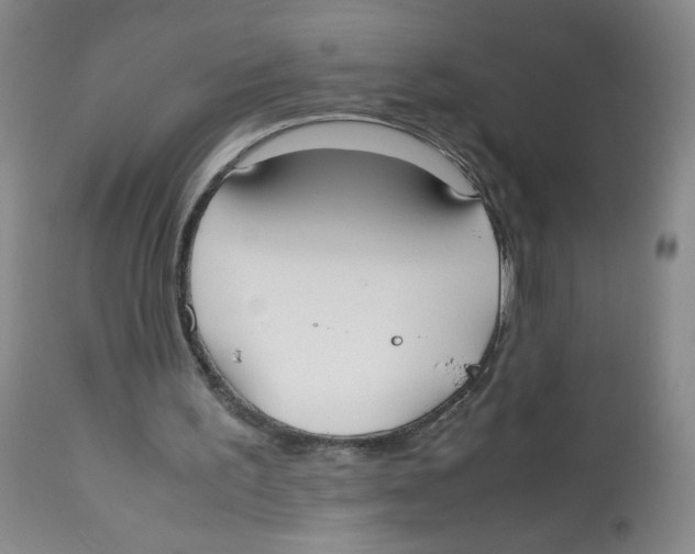 X0000112530195200909141255