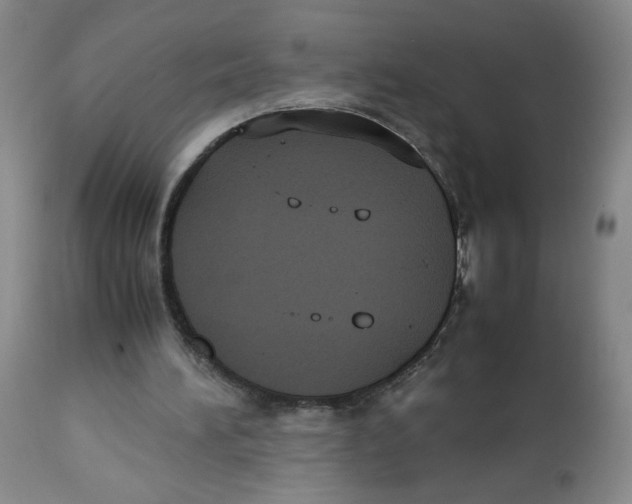 X0000112530196200909141255