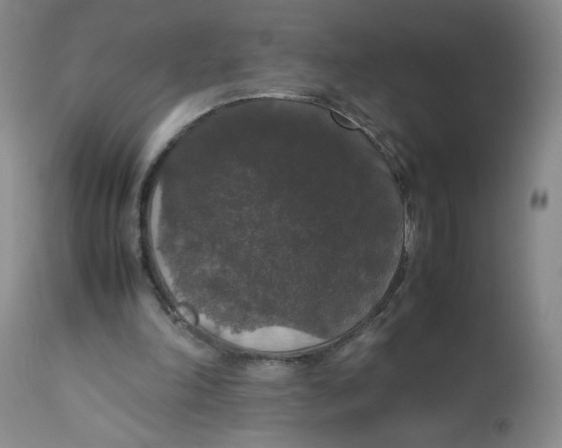 X0000112530198200909141255