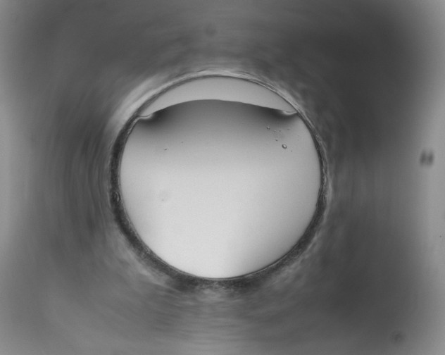 X0000112530199200909141255