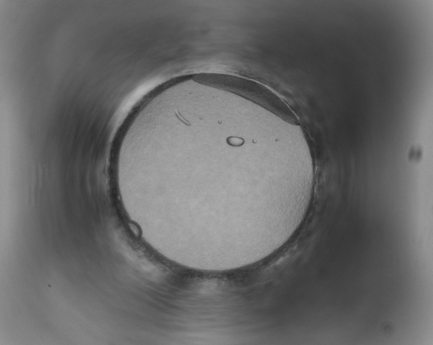 X0000112530200200909141255