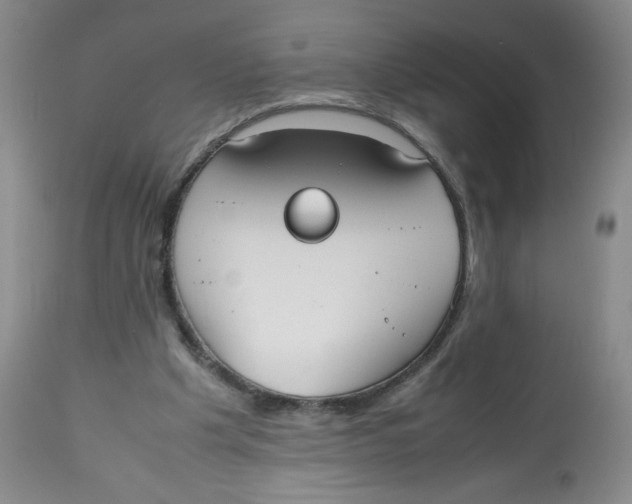 X0000112530201200909141255