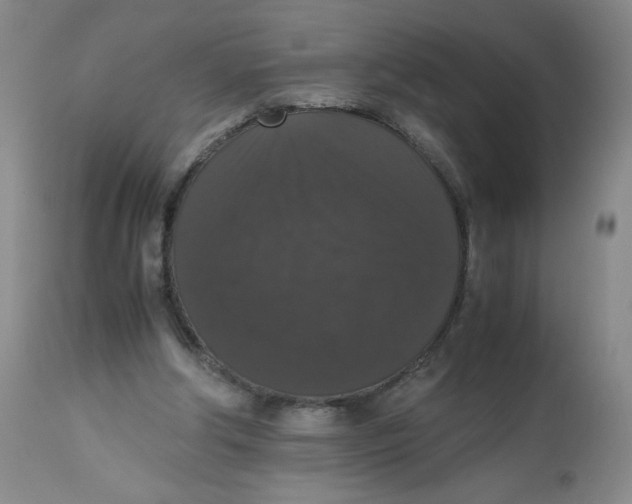 X0000112530202200909141255