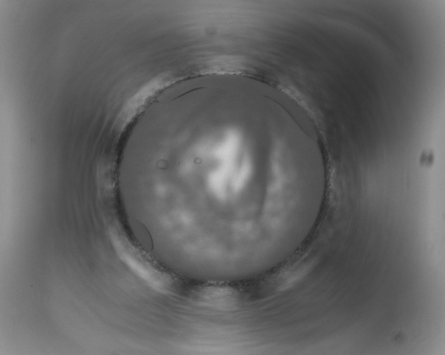 X0000112530203200909141255