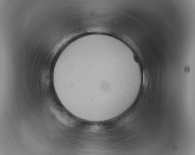 X0000112530204200909141255