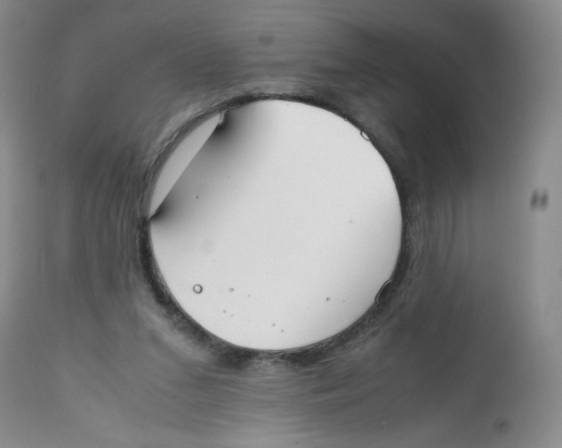 X0000112530207200909141255