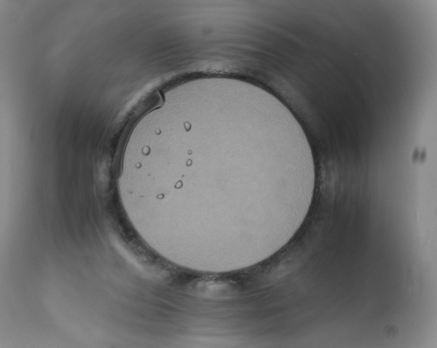 X0000112530208200909141255