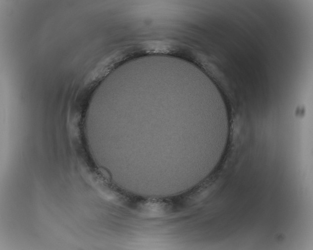 X0000112530209200909141255