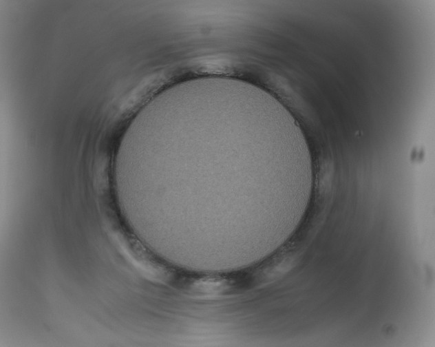 X0000112530213200909141255