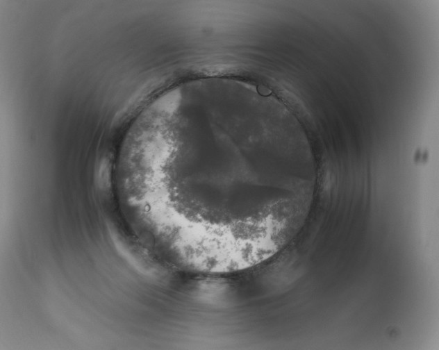 X0000112530214200909141255