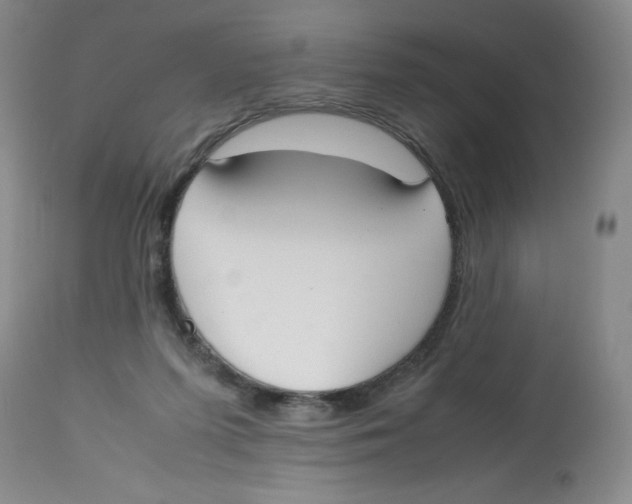 X0000112530215200909141255