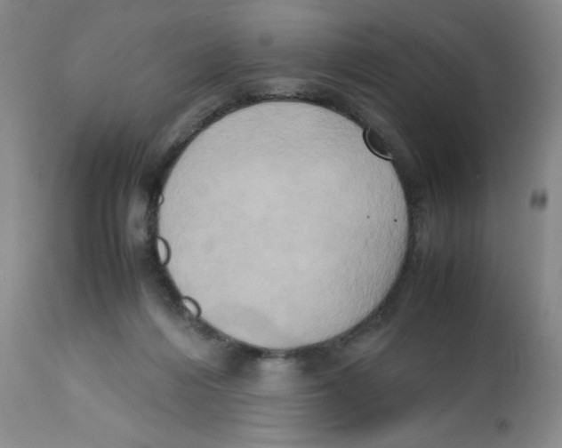 X0000112530216200909141255