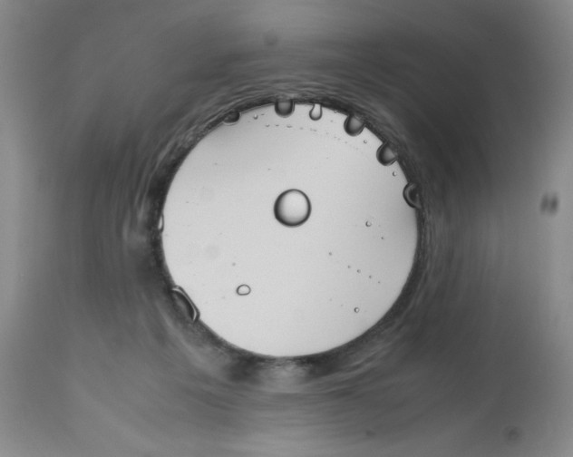 X0000112530217200909141255