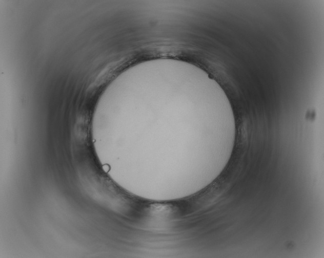 X0000112530218200909141255